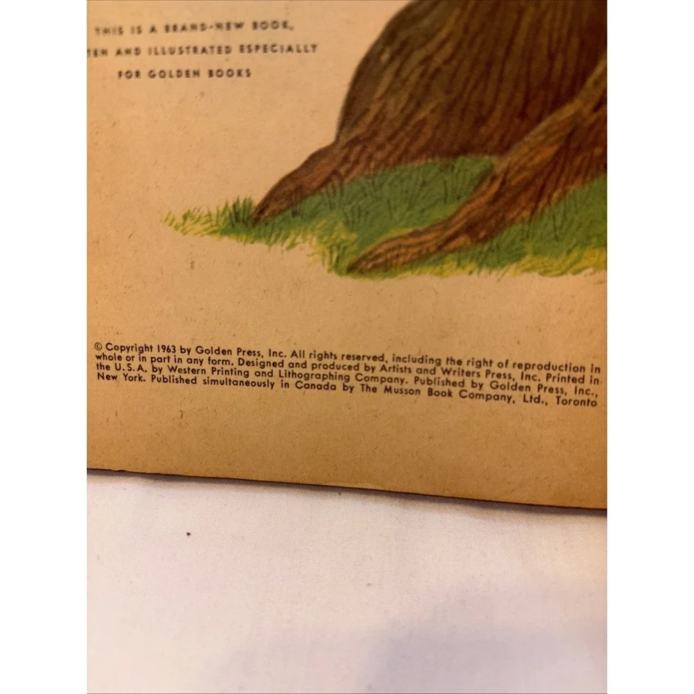 Vintage Little Golden Book Titled 